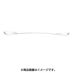PP2E25X3 [耐化学薬品用スリング （JIS2等級・両端アイ形） 25mm幅×3m]