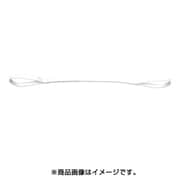 PP2E25X4.5 [耐化学薬品用スリング （JIS2等級・両端アイ形） 25mm幅×4.5m]