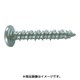 PS-425MP [プラグレスアンカー ノンプラビス ステンレス ナベ Bドリルナシ ミニパック PS-425MP (20本入)]