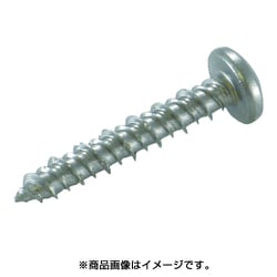PS-525DN [プラグレスアンカー ノンプラビス ステンレス ナベ Bドリルナシ PS-525DN （60本入）]