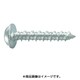 PW-425-SMP [プラグレスアンカー ノンプラビス シルバー 座付ナベ頭 Bドリルナシ ミニパック PW-425-SMP (20本入)]