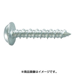 PWS-425MP [プラグレスアンカー ノンプラビス ステンレス 座付ナベ頭 Bドリルナシ ミニパック PWS-425MP (15本入)]