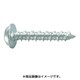 PWS-432DN [プラグレスアンカー ノンプラビス ステンレス 座付ナベ頭 Bドリルナシ PWS-432DN （95本入）]