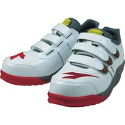 RA11-290 [ディアドラ レイル RA-11 29.0]