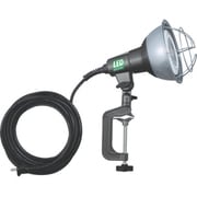 RGL-10L [LED作業灯 20W電球色ビームタイプ 電線10m]