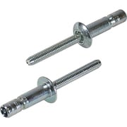 SNS48069EB [Sボルト SNS48069EB (100本入)]