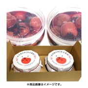 無添加天日干し梅干「藤五郎・越の梅」セット [新潟県特産品]
