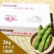 新潟産そら豆 2kg