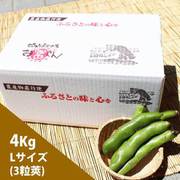 新潟産そら豆 4kg