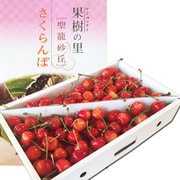 新潟産さくらんぼ 「佐藤錦」