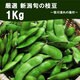 新潟枝豆 1kg 笹川流れ塩付