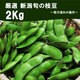 新潟枝豆 2kg 笹川流れ塩付