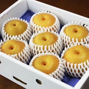 新潟 旬の和梨 3kg 化粧箱入り