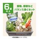 新潟 旬の野菜セット Sサイズ