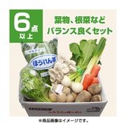 新潟 旬の野菜セット Sサイズ