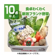 新潟 旬の野菜セット Mサイズ