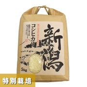 コシヒカリ 特別栽培米 5kg 30年産