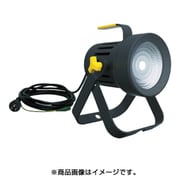 WT-2500 [全天候型 LED作業灯 スカイライト25W]