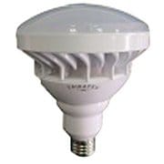 LED投光器 替ランプ 口金E26 20W [投光器用LEDランプ]