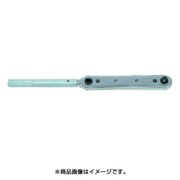YL-1A [バリヤレンチ]