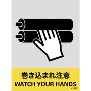 029125 [緑十字 ステッカー標識 巻き込まれ注意 160×120 5枚組 中災防タイプ]