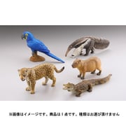 WILD RUSH 真・世界動物誌II ～第二章 南アメリカ・アマゾン編～ 1個 [コレクショントイ]