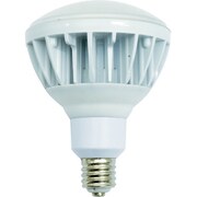 L40V2-J110-50K [投光器用LED交換球 ハイスペックエコビック40W E39 昼白色 本体白]
