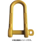 TSLG-2.5 [強力長シャックル 脱落防止 TSLG-2.5t （1012414）]
