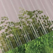 235686 [ポリカ波板熱線カット 32波 6尺 4810ブロンズ]