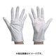 9501-LL [防塵手袋 LL 10双入]