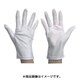 9501-M [防塵手袋 M 10双入]