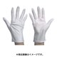 9501-S [防塵手袋 S 10双入]