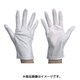 9501-SS [防塵手袋 SS 10双入]