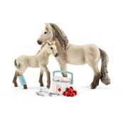 42430 アイスランドポニーのお手当てセット [HORSE CLUB]