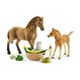42432 クォーター馬と赤ちゃん動物のお世話セット [HORSE CLUB]