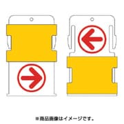 AIST-21 [スライド表示タグ →← (→ - 赤文字 / ← - 赤文字)]
