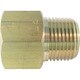 ASOH 黄銅製 変換内外ソケット 外PT1×内NPT1 NF-3088