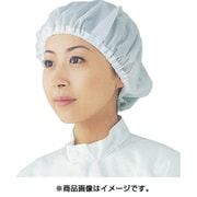 PA1401WM [ネットキャップ]
