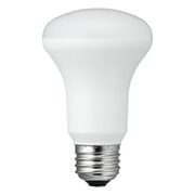 R63 レフ形LED昼白色 LDR5NH