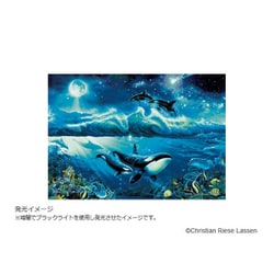 光るパズル 2点セット 0175-28-310_4.jpg