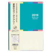 カラーダイアリー 2019年版 A6 グリーン NSF-A601-19G
