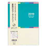 カラーダイアリー 2019年版 A5 グリーン NSF-A501-19G