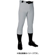 DB1119P SLV L [レギュラーパンツ]