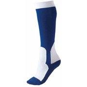 BK250M 2500 2124 [少年野球 イージーソックス ロイヤルブルー 21-24cm BK250M]
