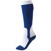 BK250S 2500 1921 [少年野球 イージーソックス ロイヤルブルー 19-21cm BK250S]
