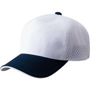 BH167 1129 FREE [アメリカンバックメッシュキャップ]