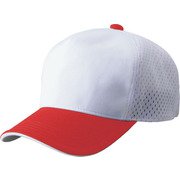 BH167 1164 JFREE [アメリカンバックメッシュキャップ]