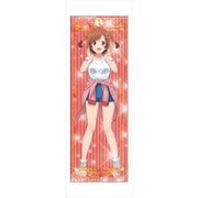 少女☆歌劇 レヴュースタァライト 描き下ろしほぼ等身大タペストリー 華恋 [キャラクターグッズ]