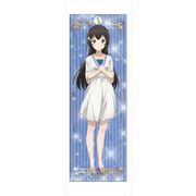 少女☆歌劇 レヴュースタァライト 描き下ろしほぼ等身大タペストリー ひかり [キャラクターグッズ]