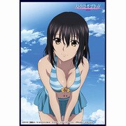 クロックワークス スリーブコレクションvol.4 ストライク・ザ・ブラッド 姫柊 雪菜 [トレーディングカード用品]